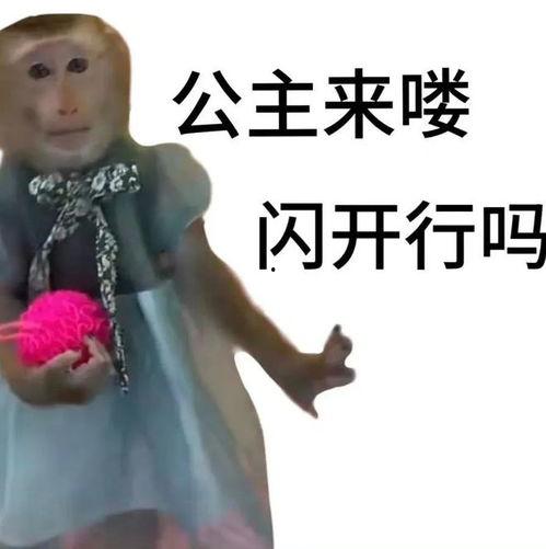 赵梓婷最新爆料,揭秘娱乐圈不为人知的幕后真相